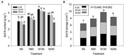 High N Storage but Low N Recovery After Long-Term N-Fertilization in a Subtropical Cunninghamia lanceolata Plantation Ecosystem: A 14-Year Case Study